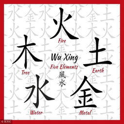 查询五行（如何查询五行）