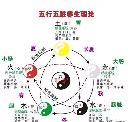 五行属金的字有哪些字（xi五行属金的字有哪些字）
