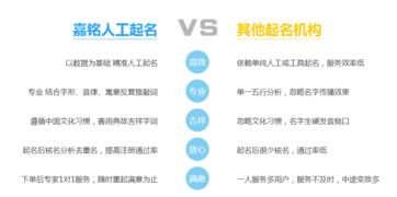 名字大全网站（取名网站排名）