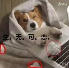 霸气虐狗情侣网名（虐狗情侣游戏id贴吧）