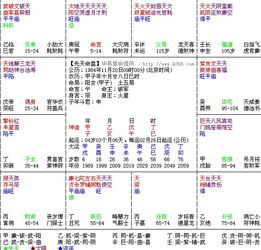 紫微斗数排盘免费详批（紫微斗数免费排盘系统）