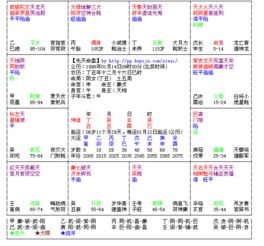 紫微斗数排盘免费详批（紫微斗数免费排盘系统）