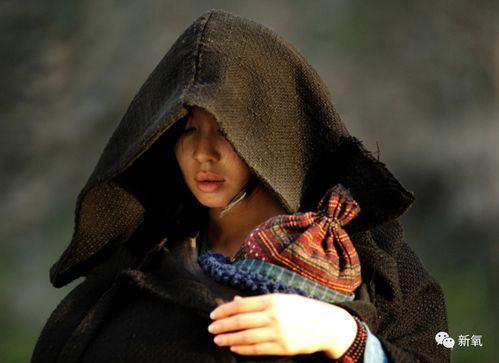 补木最旺的名字（女补木最旺的微信名）