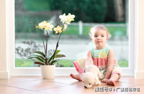 新生女孩取名大全免费（新生女孩起名免费）