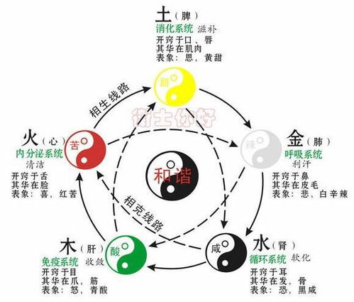 金木水火土五行查询表出生年月日（金木水火土五行查询表出生年月日图片）