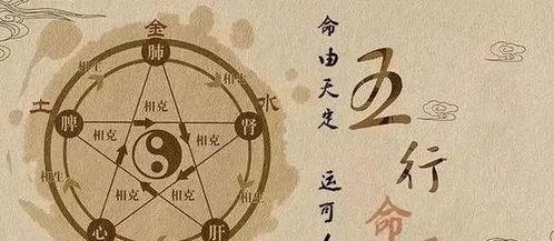 五行属土的字大全女孩名字（五行属土的汉字女孩）