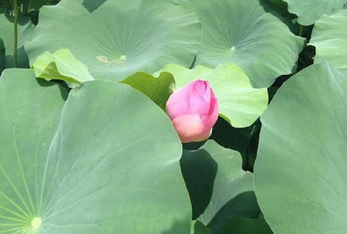 简单又含深意的网名二字（简单而意义深刻的网名两个字）