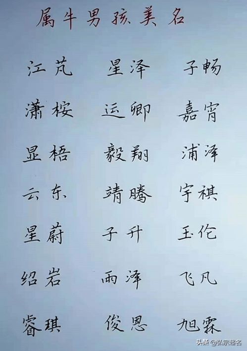 男孩子取名寓意好的字（男孩名字寓意好的汉字）