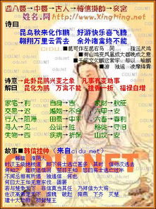 瓷都在线取名免费取名（瓷都在线起名网免费取名）