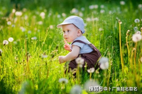 诗经里好听的名字男孩（诗经中最唯美的名字男孩名字）