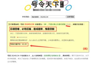 号令天下号码测吉凶查询（手机号天下号令(免费)