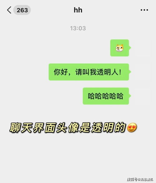 2024微信名男士专用（2021年的微信名男）