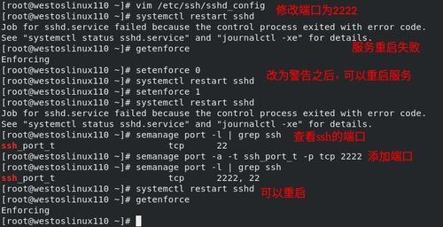 cp感很强的昵称二字（cp感很强的昵称二字生僻字）