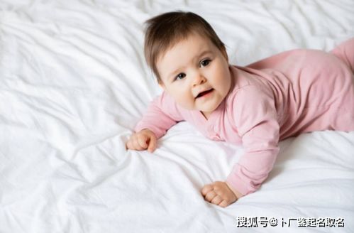 男宝宝取名大全洋气（男宝宝取名大全好听）