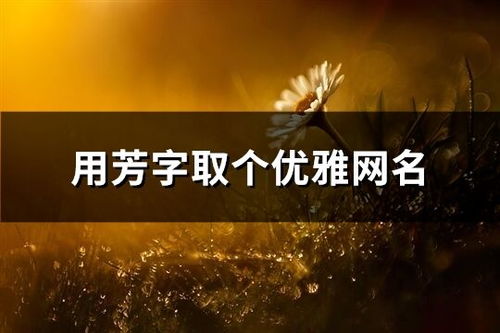 取网名大全（用鑫字取网名大全）