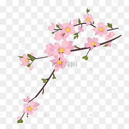 花瓣小尾巴的樱花符号（花瓣小尾巴的特殊符号）