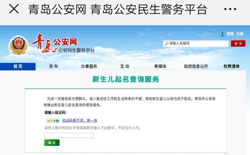 姓名重名查询系统全国官网（2020全国姓名重名查询网）