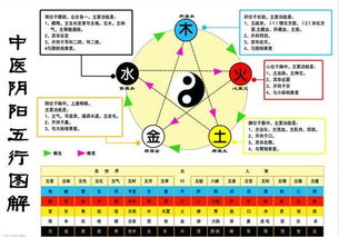 五行金木水火土命查询表（五行金木水火土命年表）