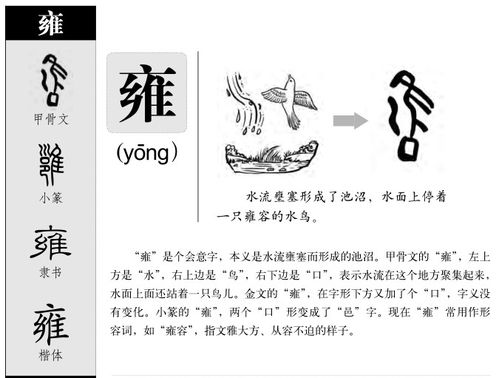泽字取名男孩寓意（泽字取名男孩寓意牛）