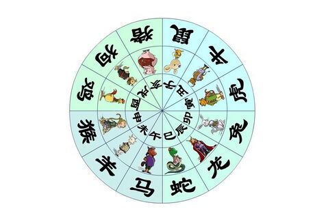 怡字五行属什么（伊字五行属什么）