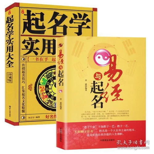 易经免费起名网（易经起名网免费取名东北铁锅炖）