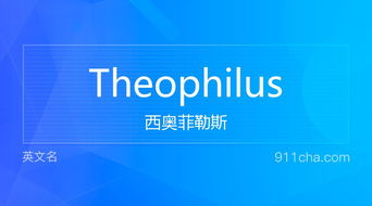 名字解释查询（名字涵义查询）