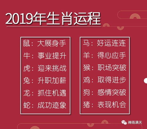 今日运势每日一签（今日运势每日一签星座）