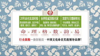 宝宝名字免费（小孩起名字免费查询）