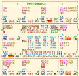 免费八字排盘详解（免费八字排盘详解析）
