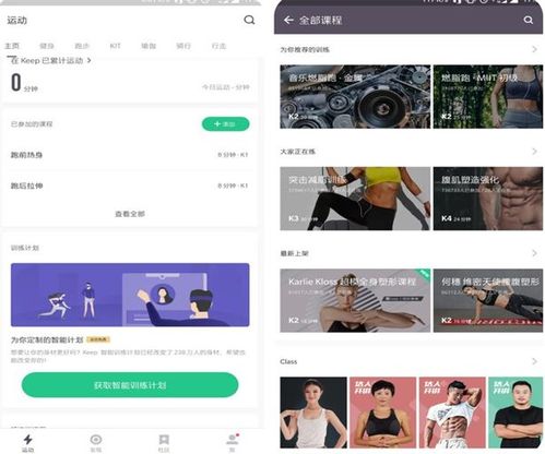 姓名打分免费准确（姓名打分免费查）