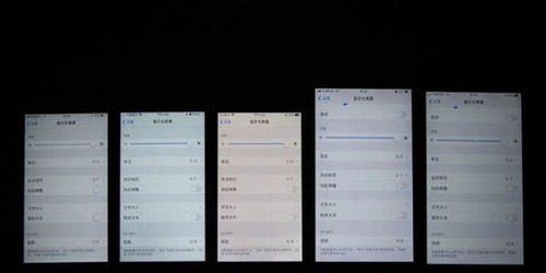 专门查人的网站（通过手机号码扒一个人信息）