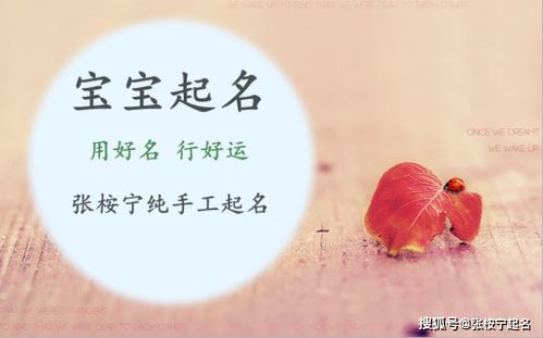 许姓女孩名字大全（许姓女孩名字大全古风）