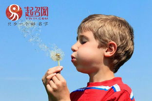 男孩取什么名字好听又有贵气（2025蛇最旺男孩名字）