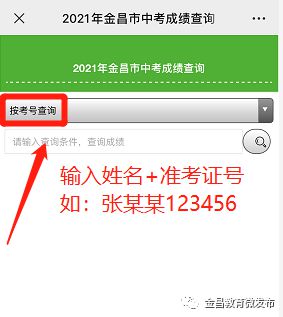 姓名查询入口（输入姓名查成绩查询入口）