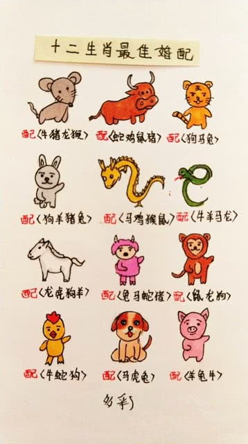 12生肖婚姻最佳配对（12生肖婚姻最佳配对口诀）